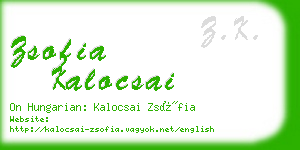 zsofia kalocsai business card